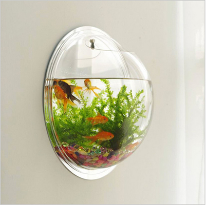 Aquarium acrylique rond clair fixé au mur adapté aux besoins du client par affichage acrylique moderne de magasin
