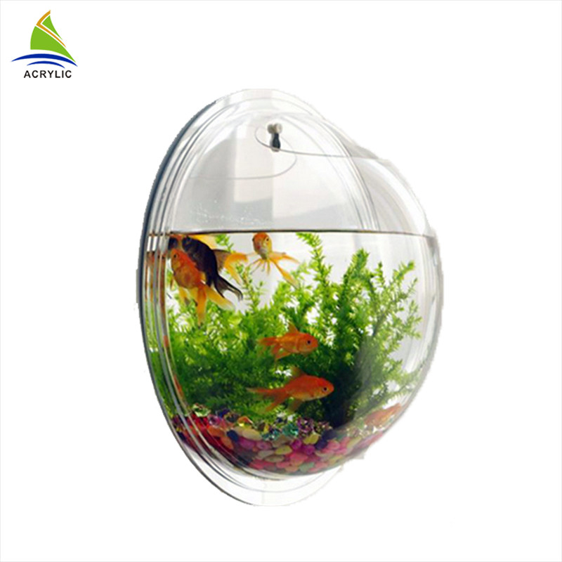 Aquarium acrylique rond clair fixé au mur adapté aux besoins du client par affichage acrylique moderne de magasin